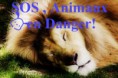 /album/galerie-photos/a5-3942-blog-s-o-s-animaux-en-danger-jpg/